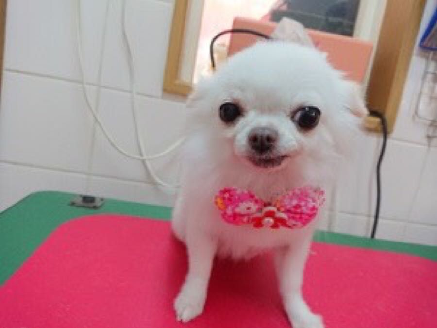rblog-20181123192951-04.jpg