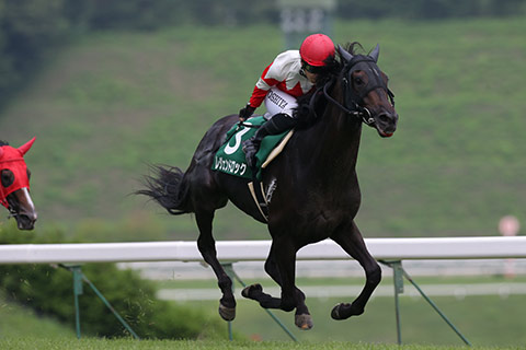 37ページ目の[ 横川典視 ] | 地方競馬の楽天競馬｜日替わりライター