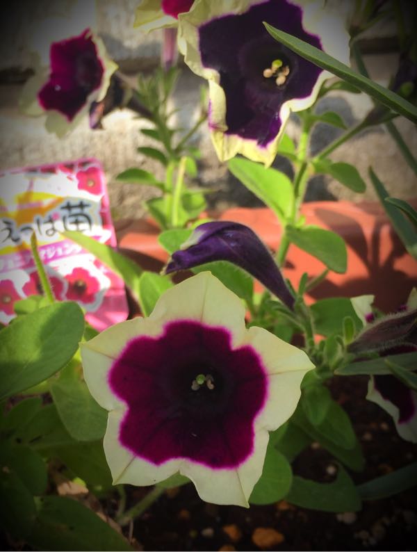 rblog-20160531165029-04.jpg