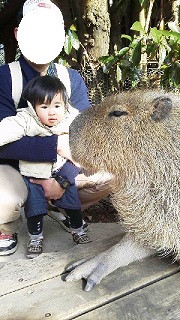 2013011415070000.jpg