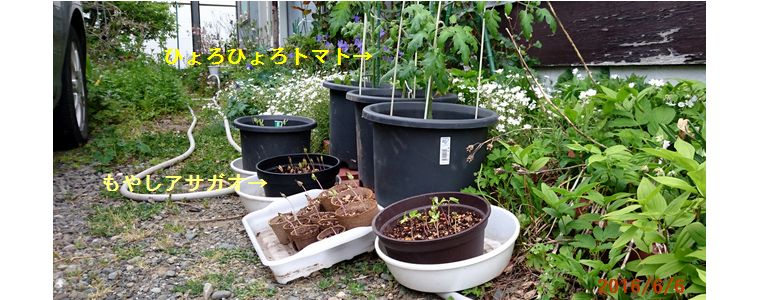 ６／６試しに外に.jpg