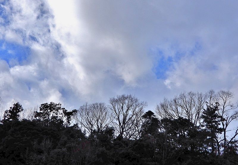 空3