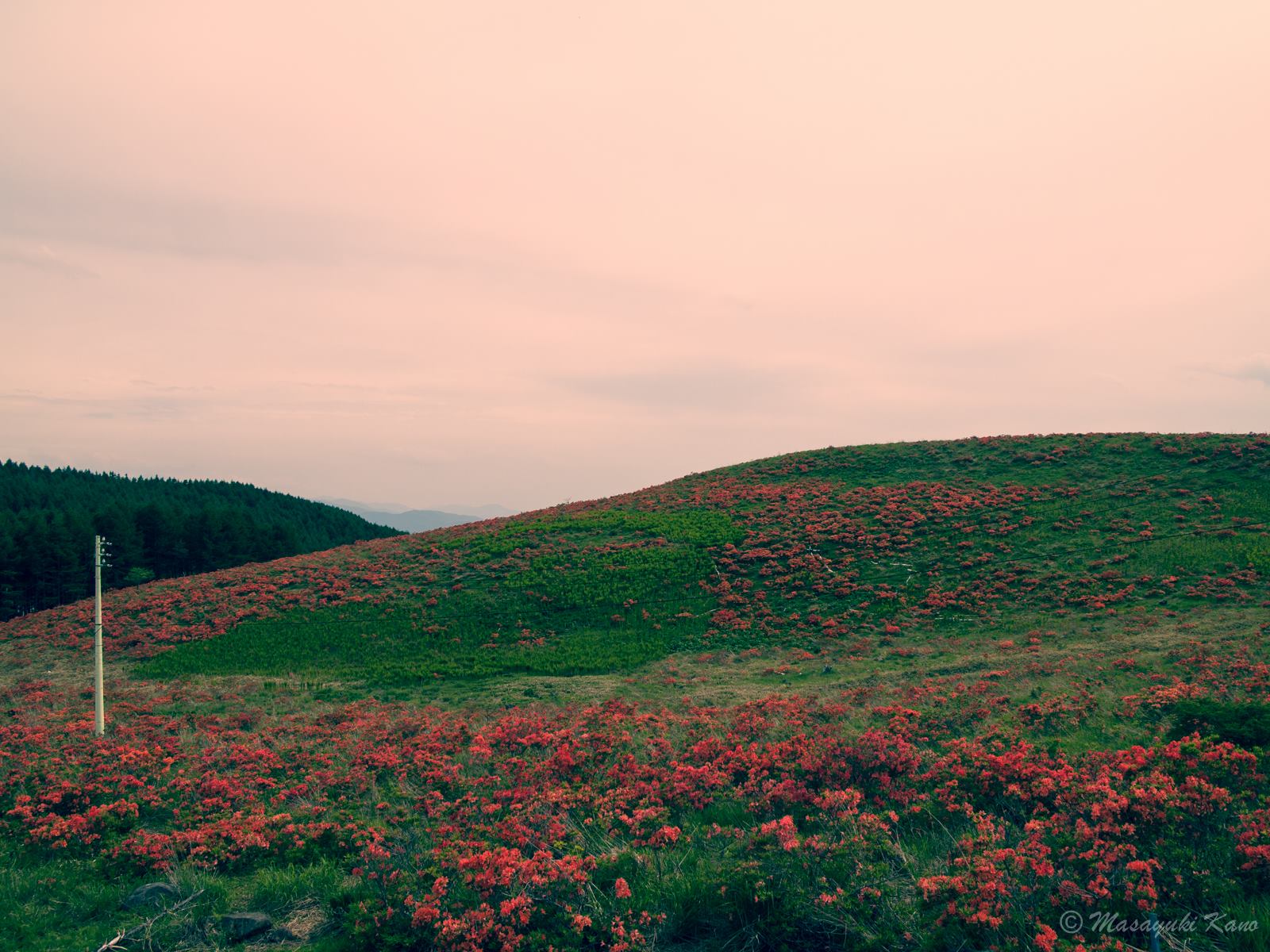 20150615-3