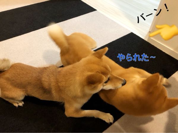 rblog-20180119062553-06.jpg