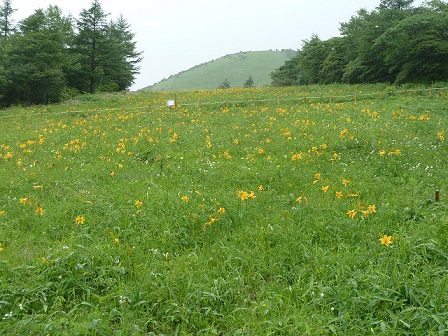 2012.7.7 032.JPG