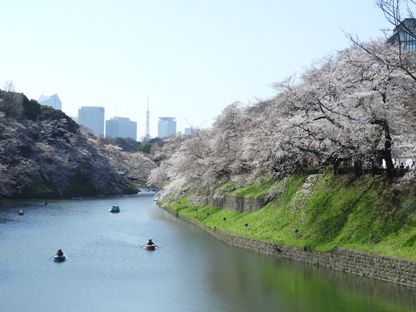 千鳥ヶ淵緑道