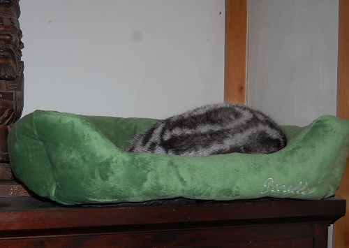 DSC_0102.JPG