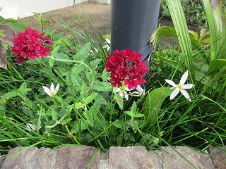 IMG_0305ss.jpg