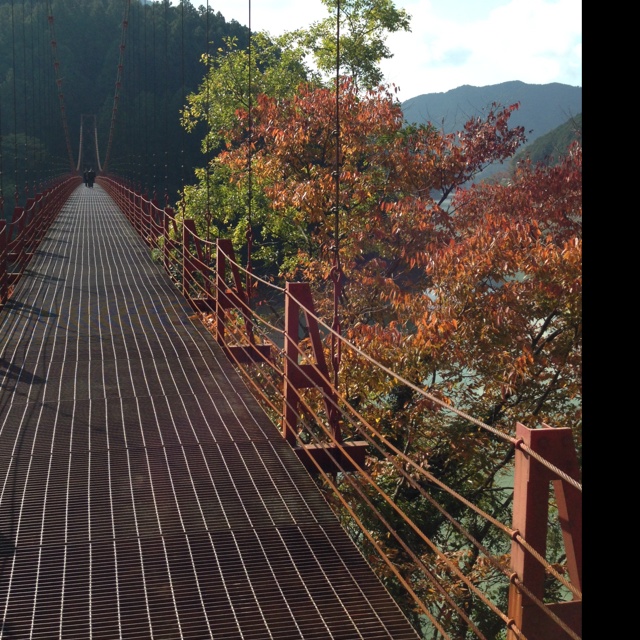 rblog-20131116220120-03.jpg