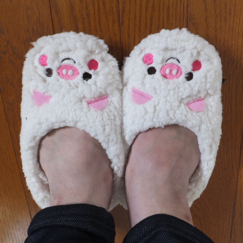 DSCF3049.JPG