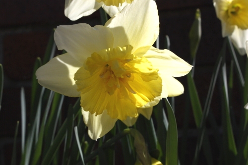 20160321002.jpg