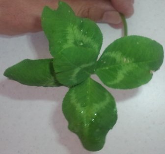 20120505-5