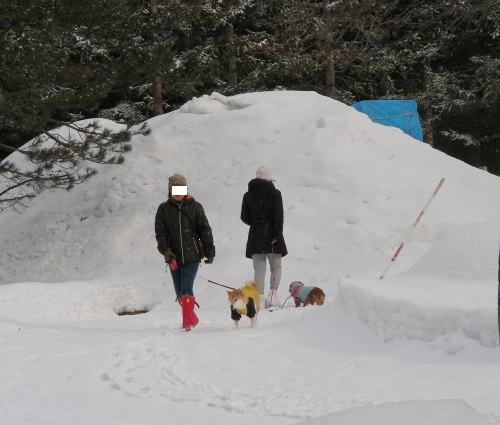 2017-03-24mori (5).JPG