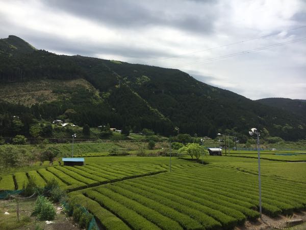 rblog-20170508204623-08.jpg