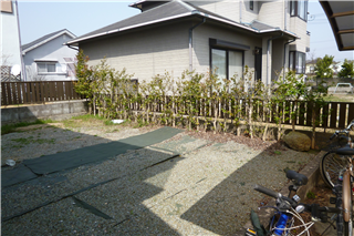 P1030988.png