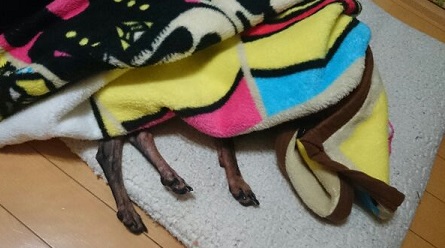 1429896269291.jpg
