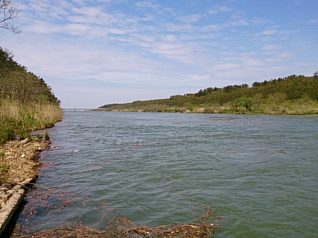 DSC_0006.jpg