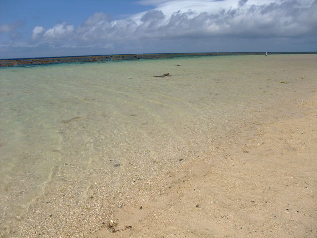 DSCF1242.JPG
