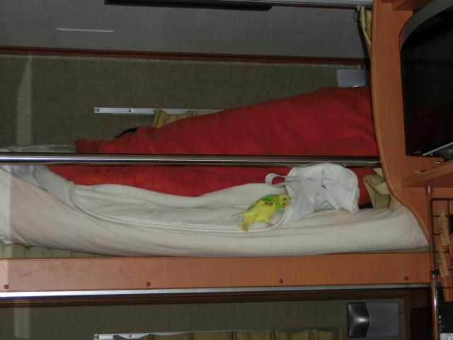 CIMG6748.jpg