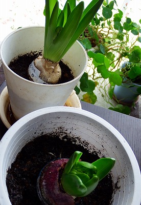 DSCF2259.jpg