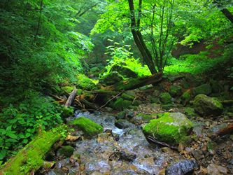 Okutama