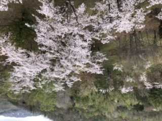 マラソンオタクのトレーニング日記