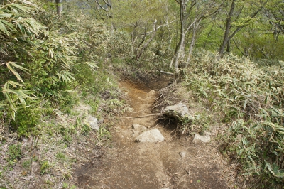 DSC00609.jpg
