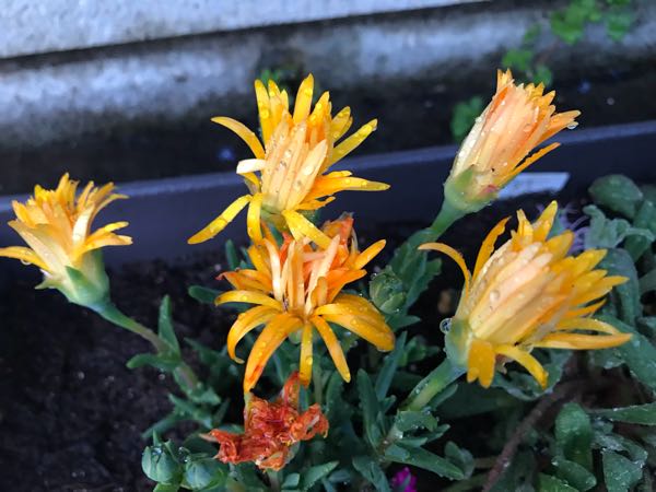 rblog-20180328191417-04.jpg