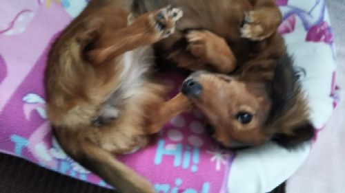 rblog-20181114153458-05.jpg