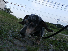 conv0532.JPG