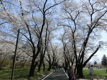 千本桜