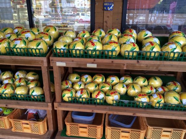 rblog-20160119091644-04.jpg
