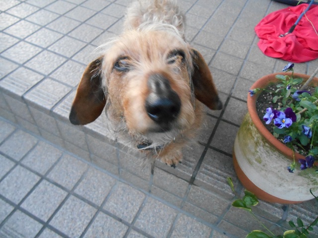 DSCN0269.JPG