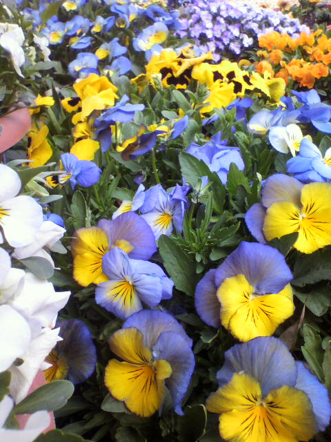 2011033015390001.jpg