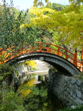 下鴨神社４.jpg