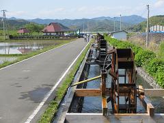 IMG_2149.jpg