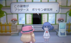 新着記事一覧 ゆきのランタン 楽天ブログ