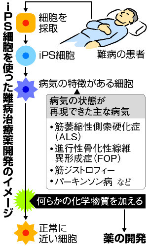 新着記事一覧 徒然なるままに 楽天ブログ