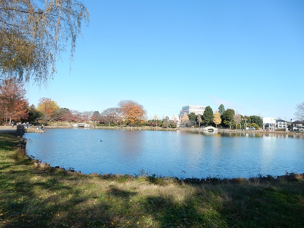 行田、水城公園 きまぐれフォトダイアリー 楽天ブログ