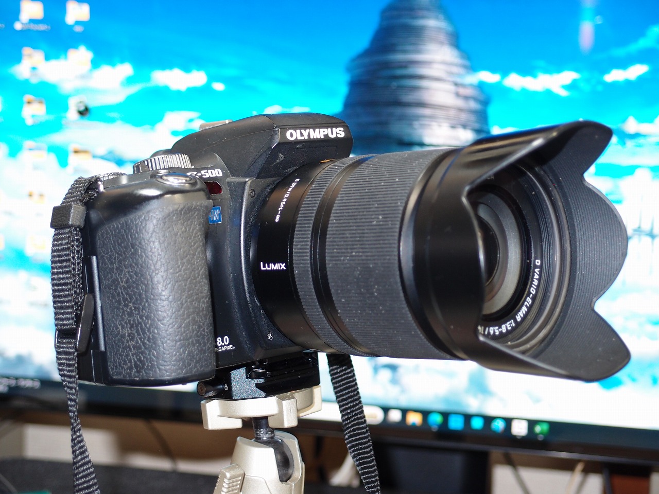 Kodak CCD の E-500 と ZD 50/2 Macro がやって来た