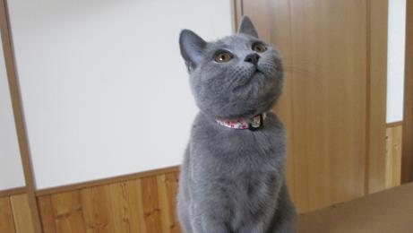 11月14日、いい顔！その１.JPG