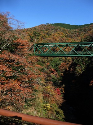 20131123塔之沢