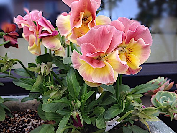 rblog-20170625192338-04.jpg
