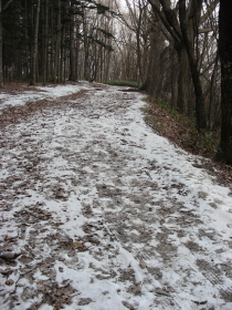 12-05uramichi (1).JPG