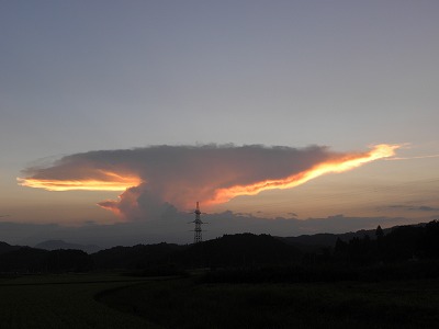 DSCN9792.jpg
