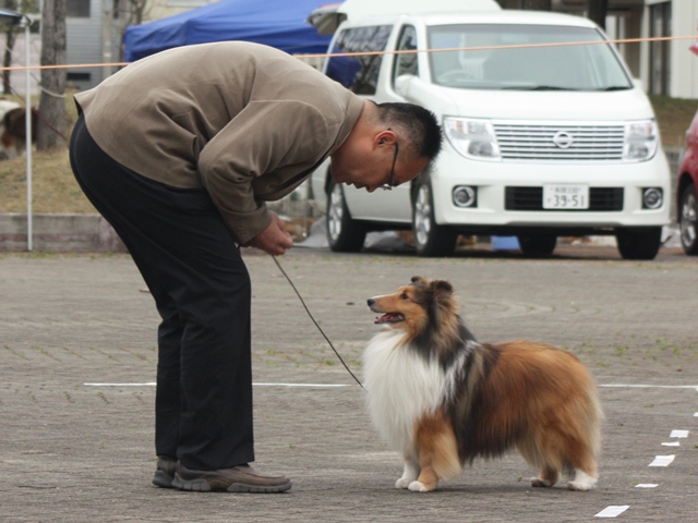 IMG_1318 - コピー.JPG