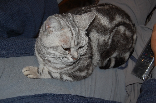 DSC_0190.JPG