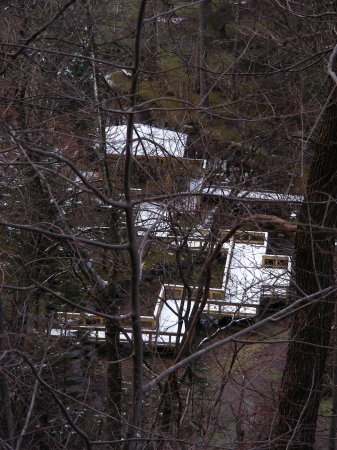 2017-11-17mori2 (1).JPG