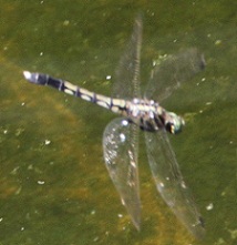E7D_8391-2.jpg