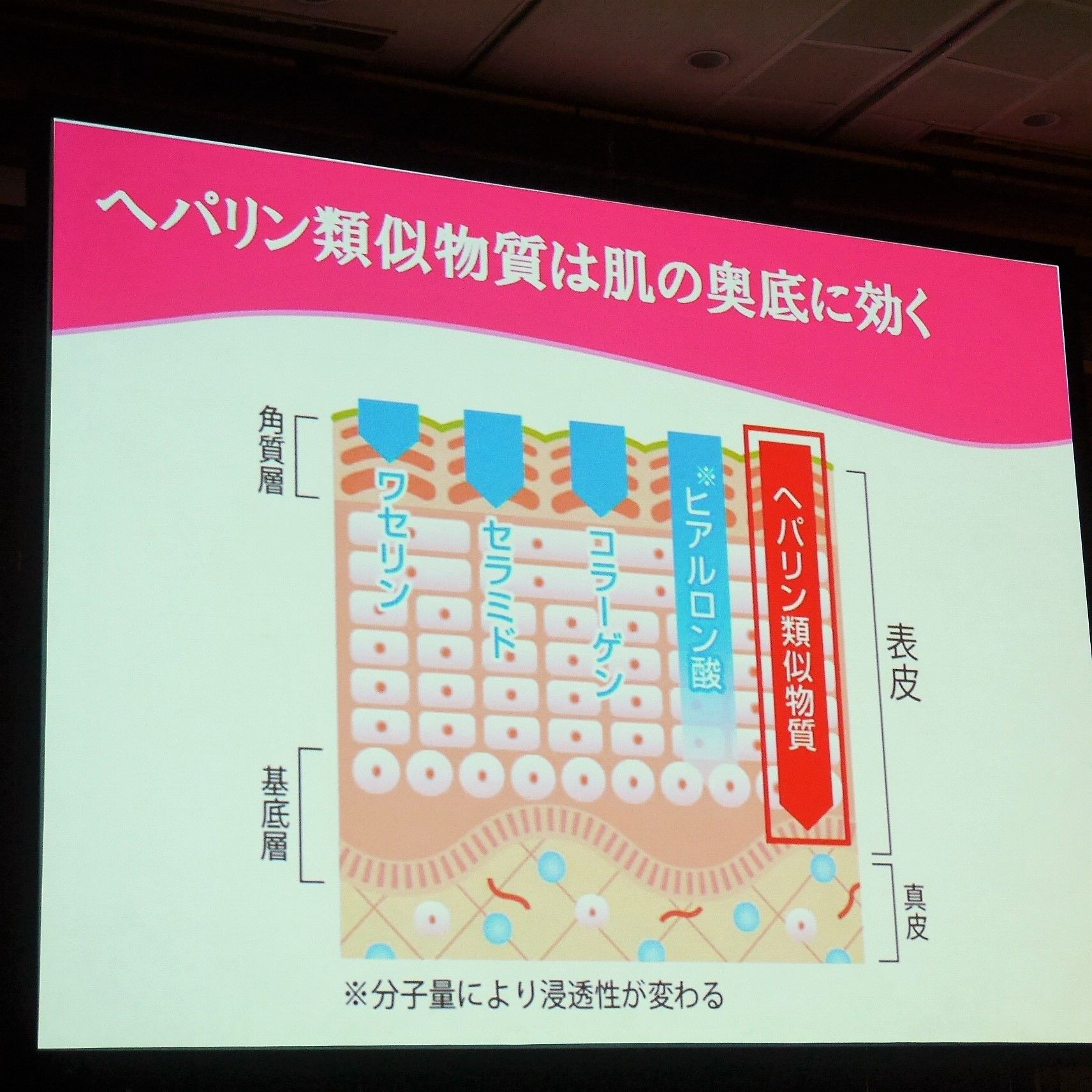 Saiki治療クリーム_ヘパリン類似物質は肌の奥に届く